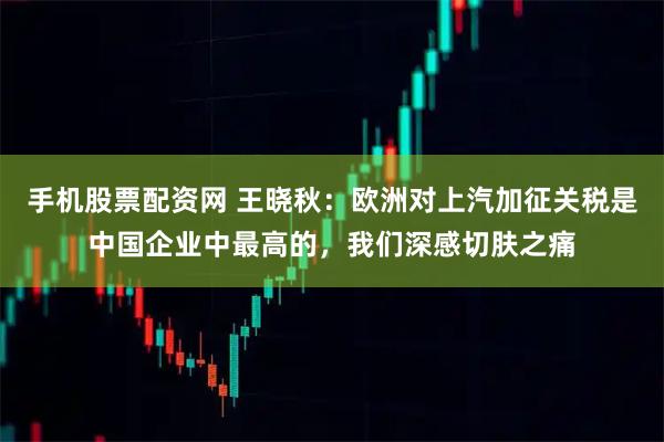 手机股票配资网 王晓秋:欧洲对上汽加征关税是中国企业中最高的,我们深感切肤之痛